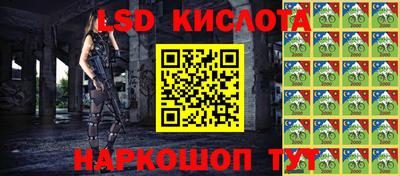 прущие крисы Партизанск
