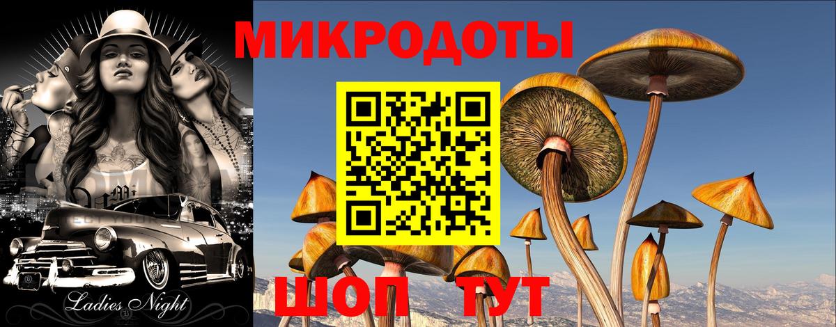Псилоцибиновые грибы Psilocybine cubensis  Вход с VPN  Самара  Псилоцибиновые грибы Psilocybe 